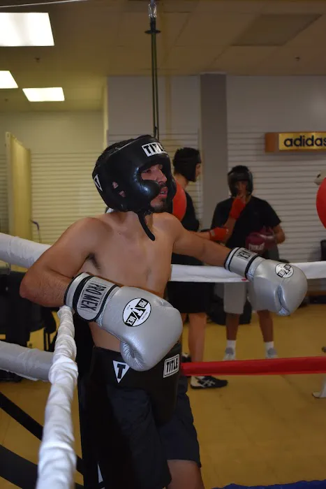 Mutopia Boxing & Fitness Picture 5