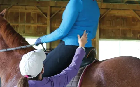 Rocking Horse Fitness Picture 2