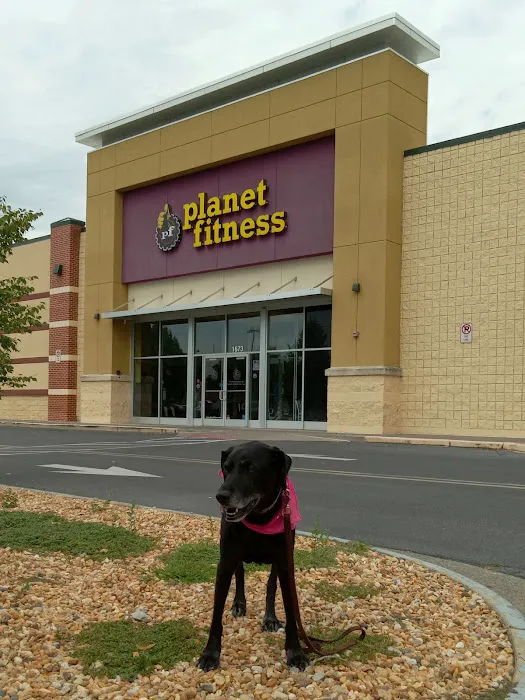 Planet Fitness Picture 7