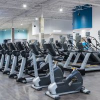 Onelife Fitness - Winchester ico