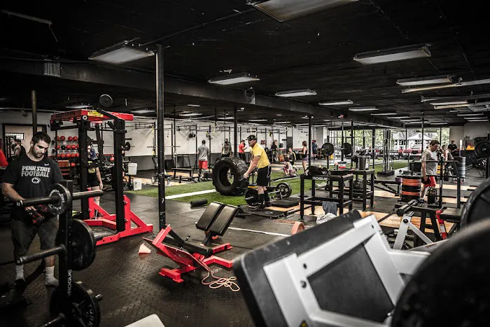 Virtus Barbell Picture 6