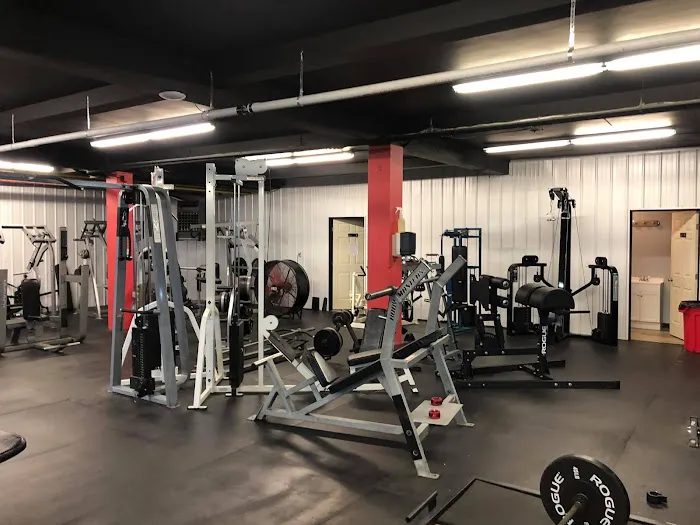 The Iron Forged Gym Picture 5