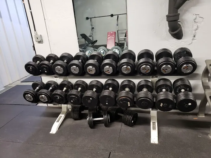 The Iron Forged Gym Picture 6