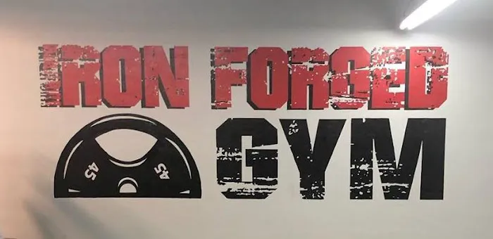 The Iron Forged Gym Picture 3
