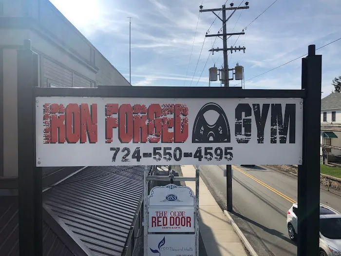 The Iron Forged Gym Picture 9