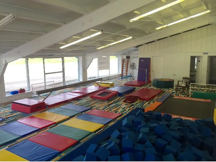 MV Gymnastics Picture 7