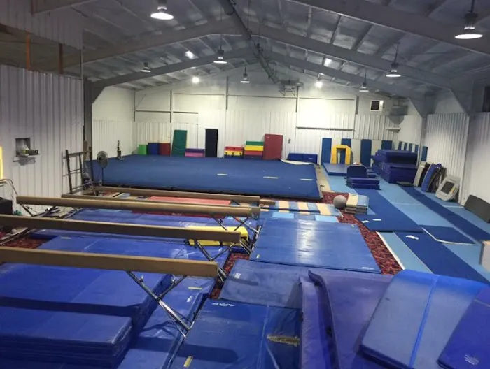MV Gymnastics Picture 2