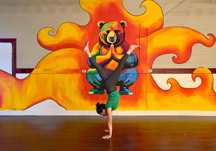 Bright Bear Yoga Picture 3