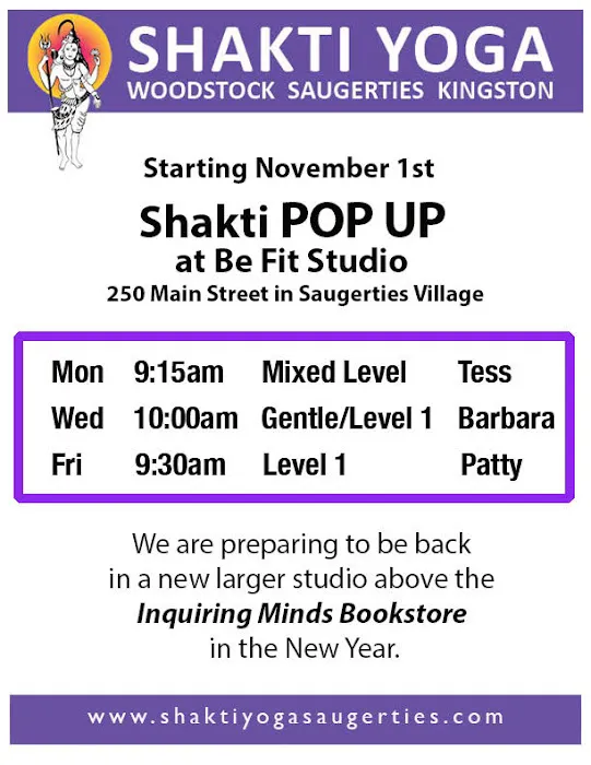 Shakti Yoga Saugerties Picture 4