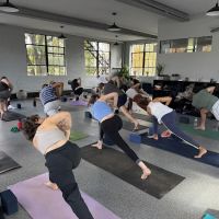 Jai Yoga Shala ico