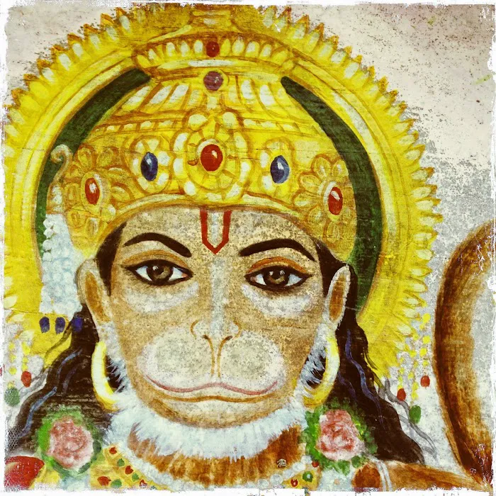 Sadhana Center For Yoga and Meditation Picture 7