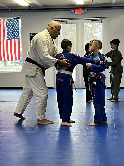Brazilian Jiu Jitsu Picture 1