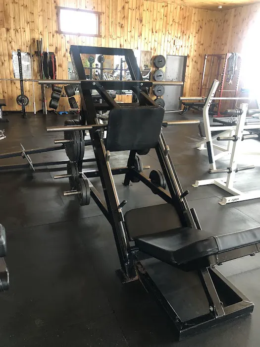 Live Well Fitness Health and Wellness Center Picture 3