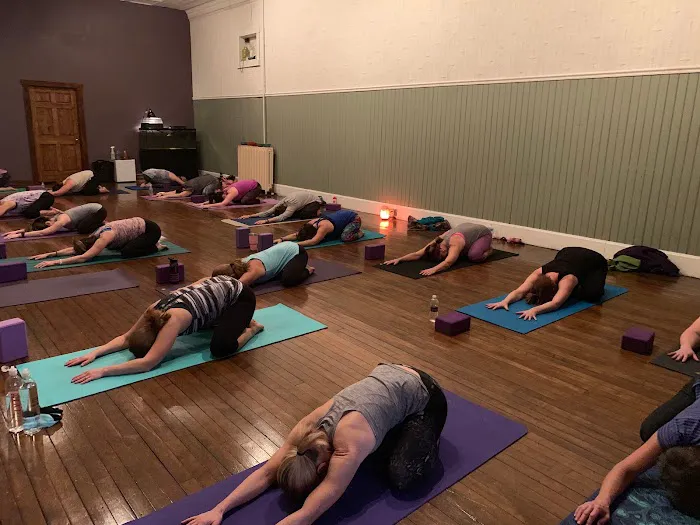 Blooming Lotus Yoga & Wellness Picture 3