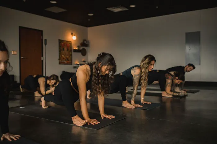 JAI Yoga School Picture 4