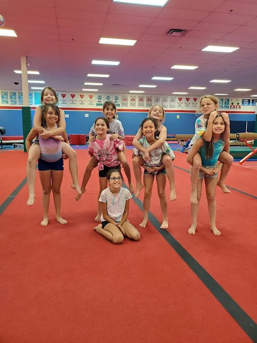 Twist'N Flip Gymnastics Picture 7