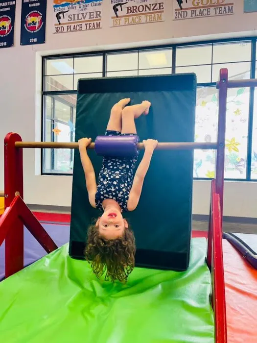 Twist'N Flip Gymnastics Picture 6