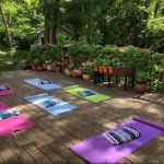 Tiferet Movement Yoga