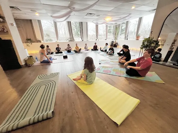 District Hot Yoga Picture 7