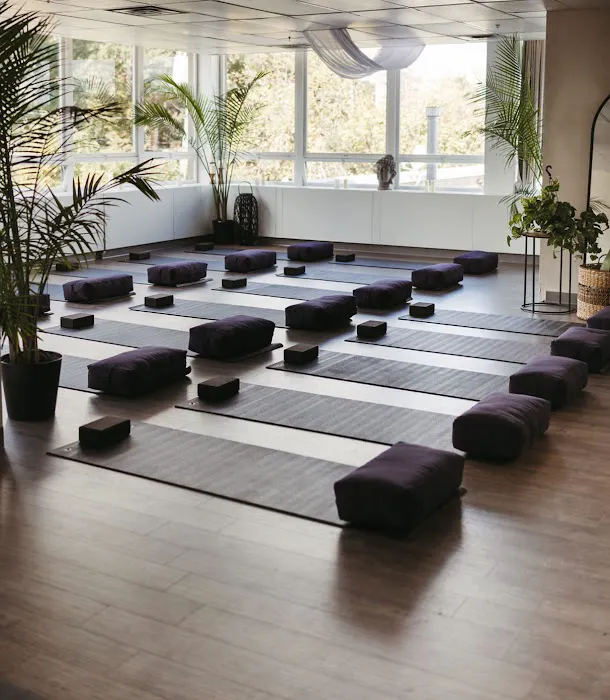 District Hot Yoga Picture 10