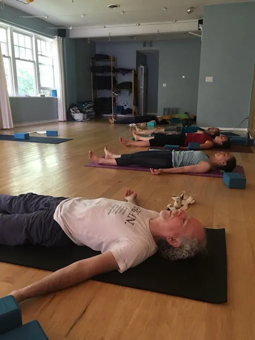 Yoga Synthesis Picture 3