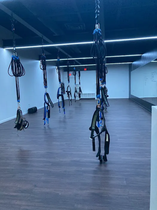 Flyte Bungee Picture 2