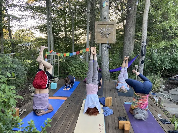 Bonnie's Yoga Shala Picture 6