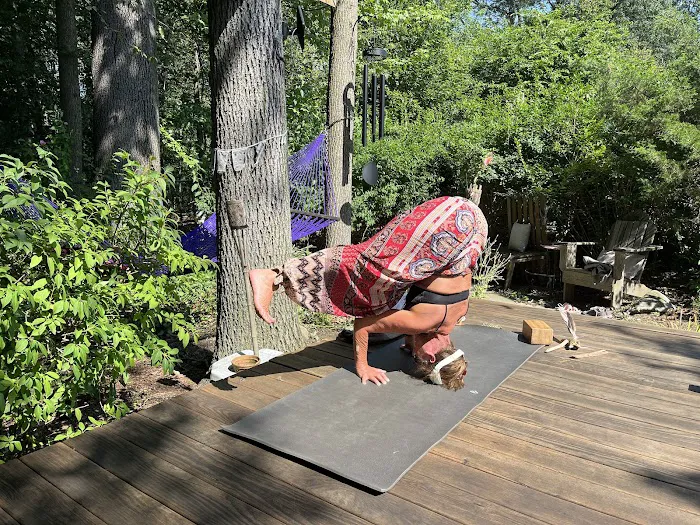 Bonnie's Yoga Shala Picture 4