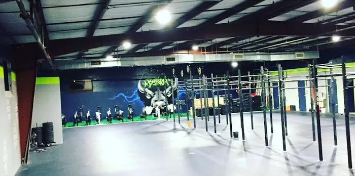CrossFit Bison Picture 5