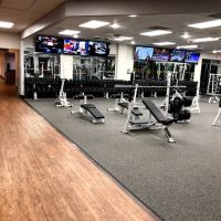 Fitness 19 ico