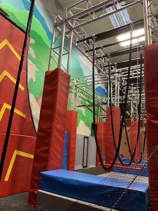 Elite Gymnastics Picture 2