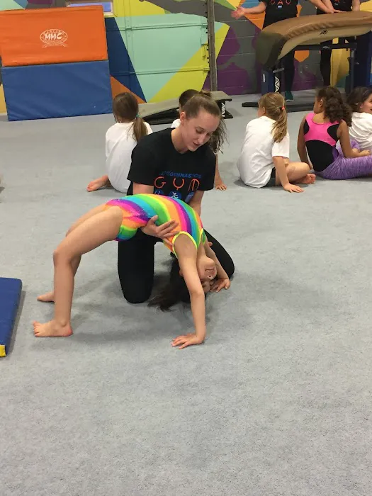 Elite Gymnastics Picture 3