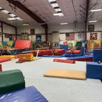 Elite Gymnastics ico