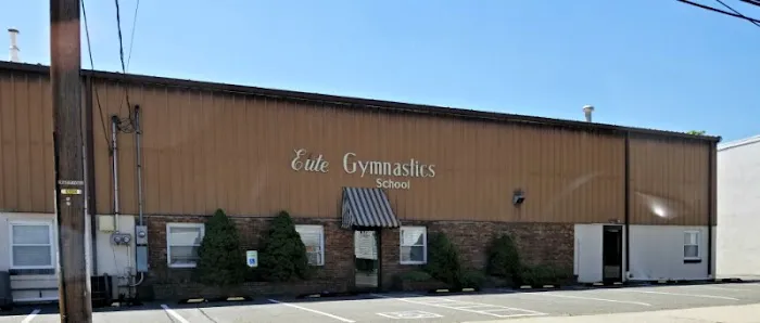 Elite Gymnastics Picture 7