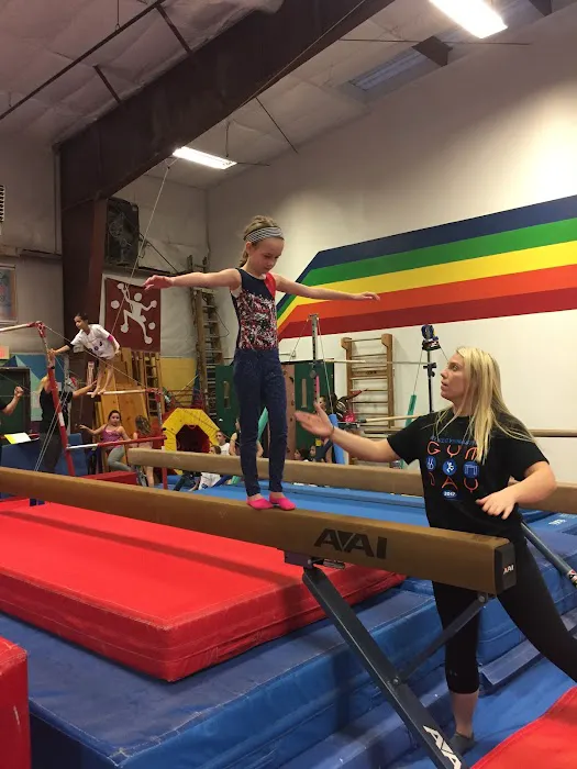Elite Gymnastics Picture 6