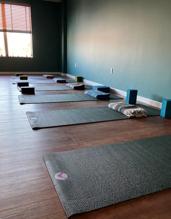 Y-Stretch Studio Picture 8