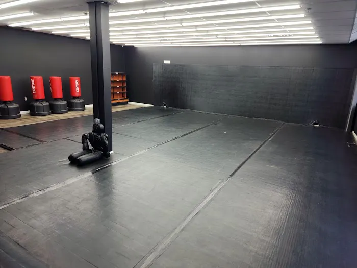P4P FIT Picture 3