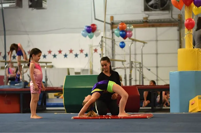 Gymnastika Picture 5