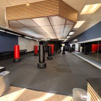 Fenix Fitness ico