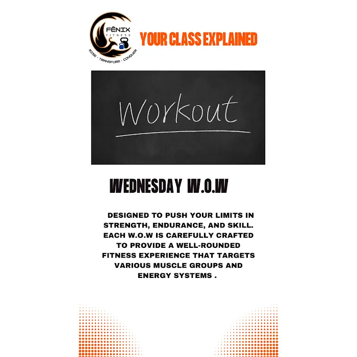 Fenix Fitness Picture 2