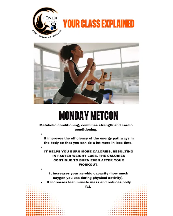Fenix Fitness Picture 3