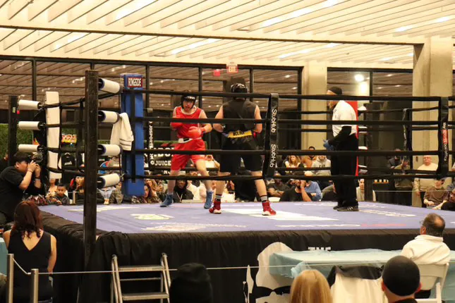 Ironhand Boxing Staten Island Picture 4