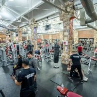 Evolution Fitness ico