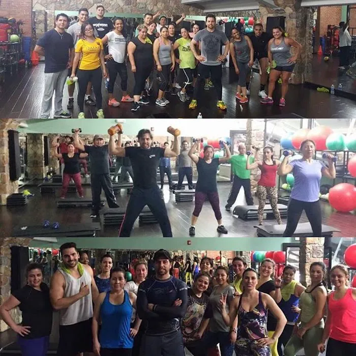 Evolution Fitness Picture 6