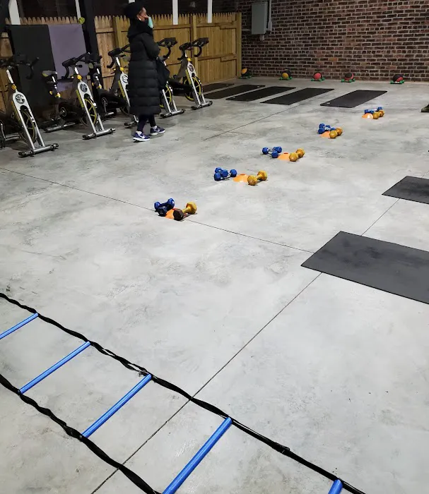 Evolution Fitness Picture 2