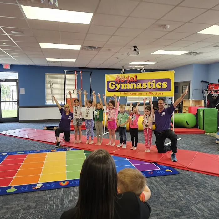 Royal Gymnastics Picture 1