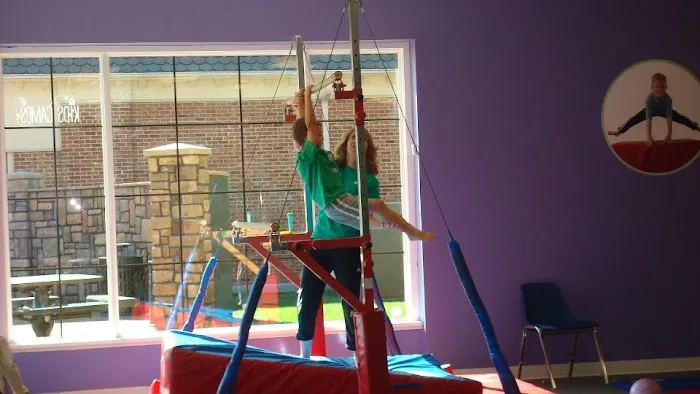The Little Gym of Winchester Picture 8