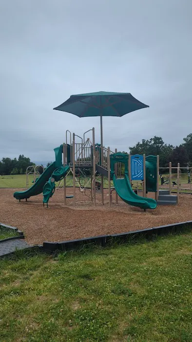 Sherando Park Outdoor Fitness Gym Picture 6
