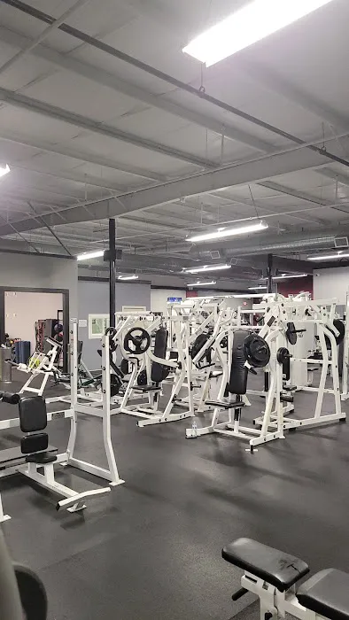 Warrior Health & Fitness Picture 4