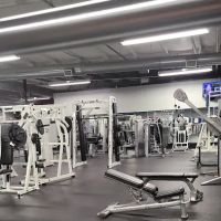 Warrior Health & Fitness ico